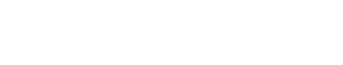 Lotus Optimization Technologies